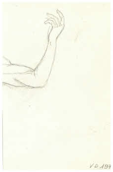 Visualizza l'immagine "FD D 1973 v."